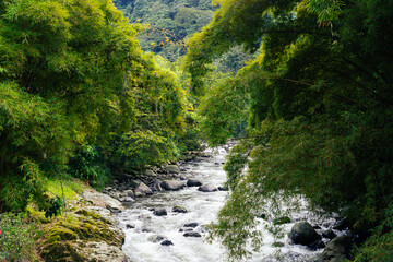 Rapid river in Colombian forest with rocks and lush greenery under cloudy sky.