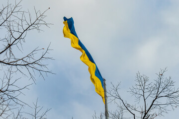 Large flag of Ukraine fluttering in the wind. National flag with yellow and blue colors on a flagpole and tree branches close-up