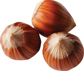Three shelled hazelnuts brown tan food