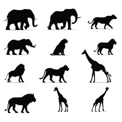 Silhouettes of african wildlife including elephants lions and giraffes on a white background display