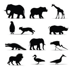 A collection of animal silhouettes including mammals reptiles and birds on a white background surface