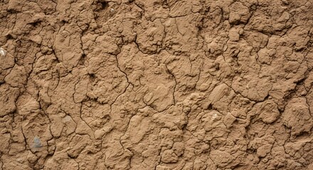 Fototapeta premium Dry Cracked Earth Texture, Arid Countryside Ground