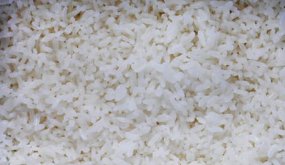Close up cooked fluffy Japanese white rice on the white ladle, delicious hot steam rice, food industry, food business, Asian style hot food meal