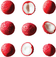 Whole halved lychee fruits red textured vector