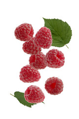 Berries of ripe red raspberries on a white isolated background