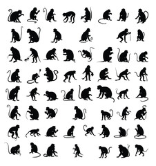 Collection of monkey silhouettes in various poses and activities on a white background layout design