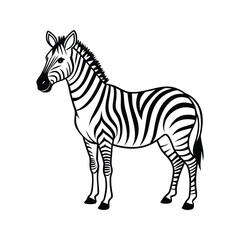 zebra line art vector