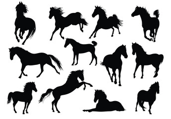 A collection of horse silhouettes in various poses against a white background in a graphic illustration
