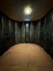 old abandoned padded cell in basement
