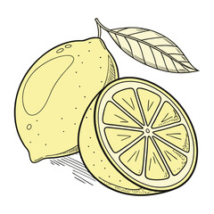 Yellow lemon fruit with leaf and slice citrus