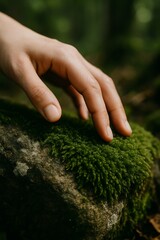 A human hand gently touching soft green moss on a rock in the forest