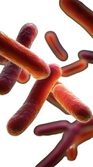 3d rendered illustration of bacteria