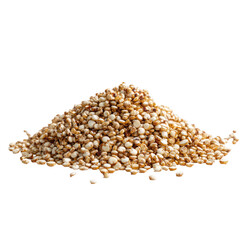 Pile of light tan, small, grain-like seeds