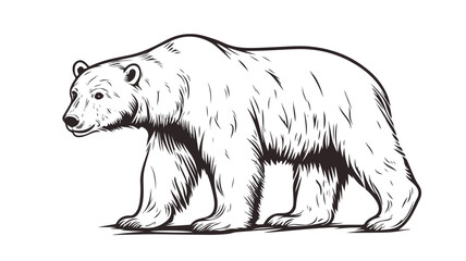 Polar Bear Vector Illustration on White Background for Graphic Design Projects