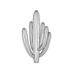 “A serene portrait of a solitary cactus bathed in warm desert light, symbolizing endurance, solitude, and the quiet elegance of nature’s resilience.”