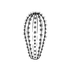 “A serene portrait of a solitary cactus bathed in warm desert light, symbolizing endurance, solitude, and the quiet elegance of nature’s resilience.”