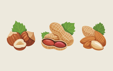 Assortment of fresh nuts and peanuts with green leaves