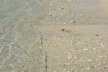 Pigeon Island National Park, Trincomalee, Sri Lanka.