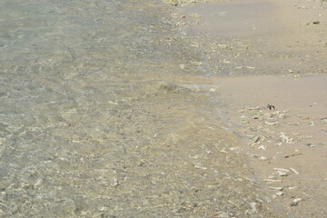 Pigeon Island National Park, Trincomalee, Sri Lanka.