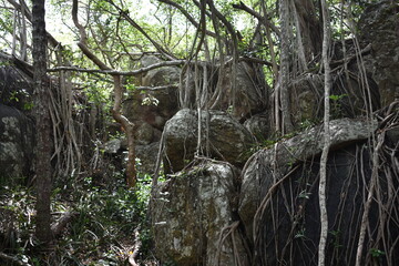 Ancient Stone Caves and Paths in Girihandu Seya, Thiriyai, Trincomalee, Sri Lanka.