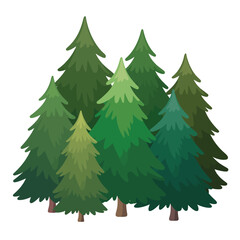 Obraz premium A cluster of lush green evergreen trees in a forest