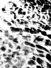 Abstract black and white motion blur image