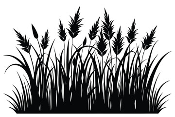 Black silhouette of pampas grass, reed plants, and blades of grass illustration © pipp99