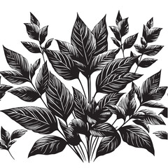 leaf silhouette
