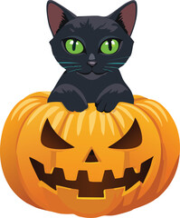 Black cat sitting on a carved pumpkin, Halloween
