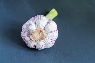 young garlic on a dark background