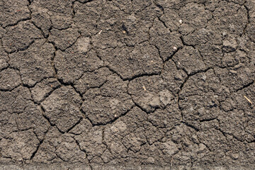 Global warming, Drought in the summer. Dark soil texture closeup