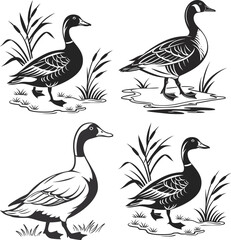 Duck Waterfowl Silhouette Minimalist Black and White Vector Illustration