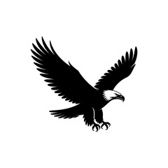 Obraz premium eagle in flight silhouette black and white bird predator freedom