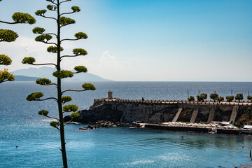 Agave flower stalk overlooking a Mediterranean harbor and stone breakwater