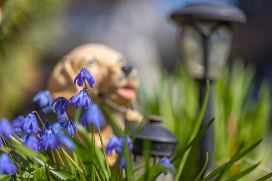 flowers, lapms and dog figurin in spring garden