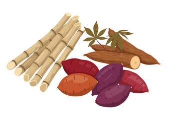 Roots and stalks sugarcane cassava and sweet potatoes in a clustered arrangement