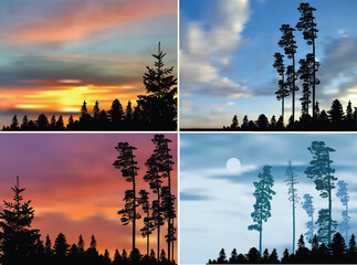 pine forest four different compositions