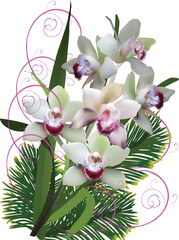 light yellow orchids bunch isolated on white