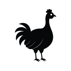 vector illustration of rooster