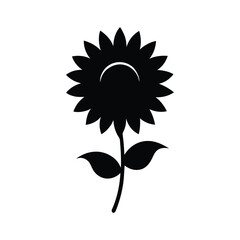 sunflower vector illustration