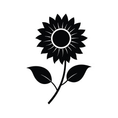 sunflower vector illustration