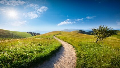 Obraz premium serene winding trail through vibrant meadow under clear blue sky