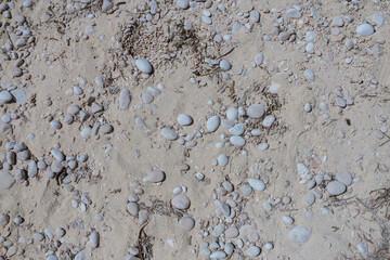 Close-up detail of smooth white and gray pebbles scattered on Mediterranean beach sand