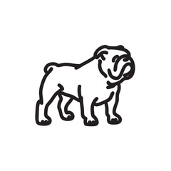 Obraz premium A bulldog stands in profile on a white background.