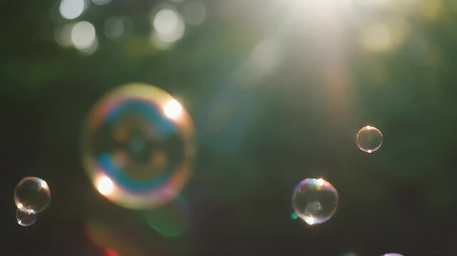 Floating Soap Bubbles in Natural Light