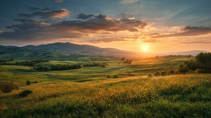 Fototapeta premium Golden Sunrise over Rolling Green Fields. Beautiful Rural Panorama with Green Grass and Wildflowers.