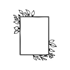Delicate Botanical Frame. Fine botanical frame featuring slender stems and soft foliage around the border.