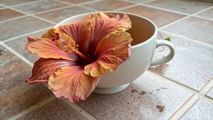cup of tea