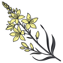 branch of yellow loosestrife