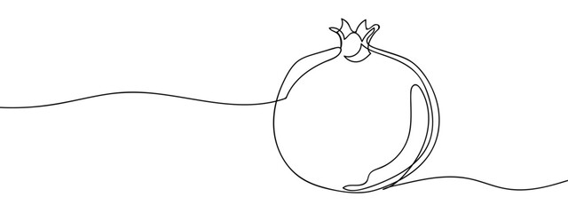 Continuous vector line of pomegranate, fruit on transparent background. editable stroke.